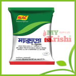 ম্যাক্সপ্রো-Maxpro 40 WDG
