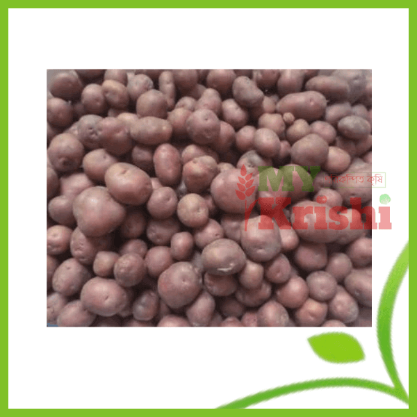 hagrai alu- হাগরাই আলূ2 হাগরাই আলু-Hagrai Alu- ৫ কেজি - Image 1