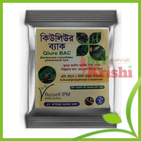 কিউলিউর ব্যাক-Qlure Bac- ১ কিউলিউর ব্যাক-Qlure Bac- ১ প্যাকেট (২টি টোপ)(মাছি পোকা) - Image 1