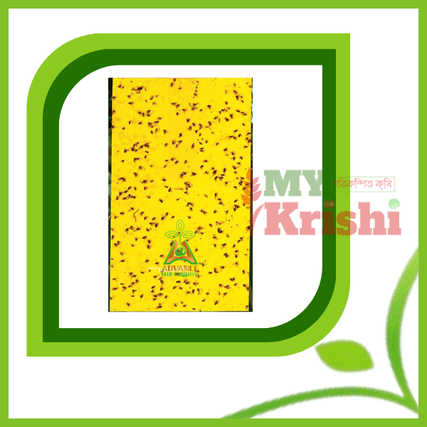 হলুদ আঠালো ফাঁদ- Yellow sticky Trap হলুদ আঠালো ফাঁদ-Yellow Sticky Trap-Card(20/10 সেমি) - Image 1