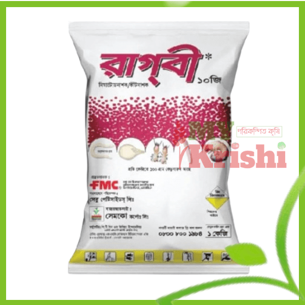 Ragbi-রাগবী-10 G ১ কেজি রাগবী-Ragbi-10G -১ কেজি - Image 1