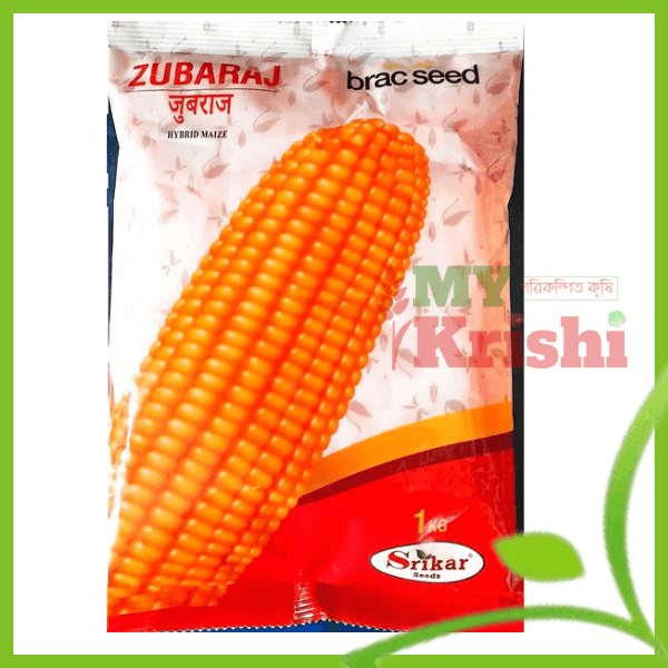 ব্র্যাক হাইব্রিড ভুট্টা যুবরাজ -BRAC Hybrid Maize Zubaraj ব্র্যাক হাইব্রিড ভুট্টা যুবরাজ -BRAC Hybrid Maize Zubaraj -১ কেজি - Image 1