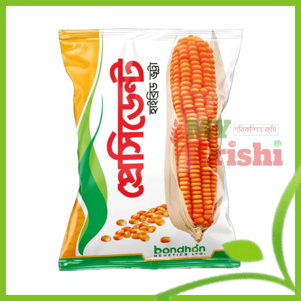 হাইব্রিড ভূট্টা-প্রেসিডেন্ট বন্ধন সীডস-Hybrid maize president Bondhon seeds হাইব্রিড ভূট্টা-প্রেসিডেন্ট বন্ধন সীডস-Hybrid maize president Bondhon seeds- ১ কেজি - Image 1