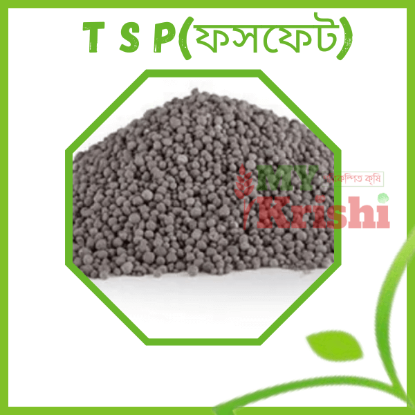টিএসপি (ফসফেট) -TSP(Phosphate) টিএসপি (ফসফেট) -TSP(Phosphate) - Image 1