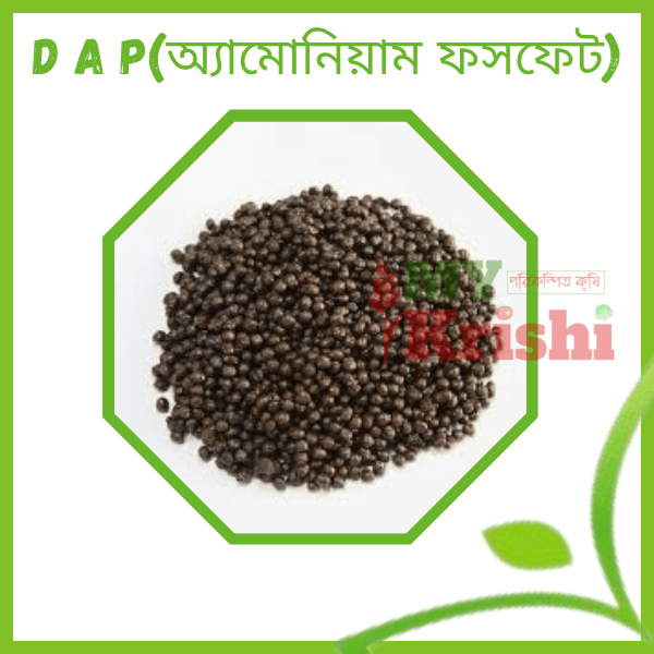 ডিএপি (ফসফেট) সার -DAP ( Di Ammonium Phosphate ) ডিএপি (ফসফেট) সার -DAP ( Di Ammonium Phosphate ) - Image 1