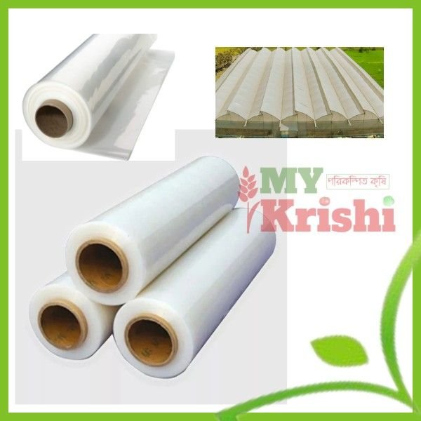 ইউভি পলি- UV Polly ইউভি পলি- UV Polly - Image 1