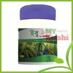ইবু- Ebu -70 WDG