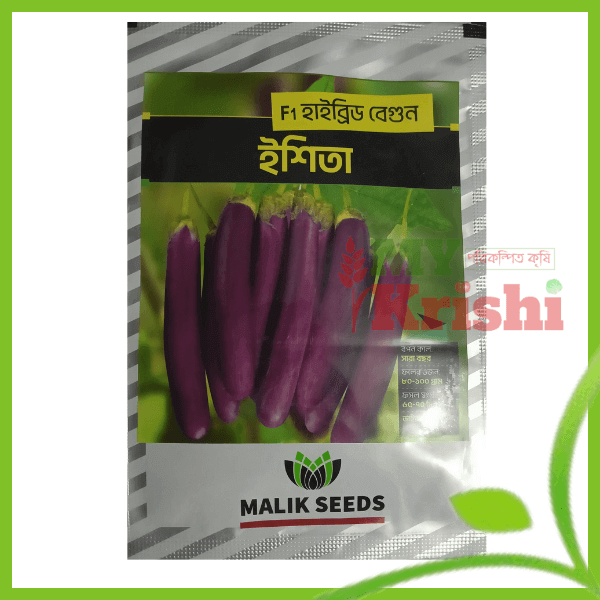 ইশতা বেগুন-Esita-১০ গ্রাম হাইব্রিড বেগুন ইশিতা -Esita Brinjal-০৫ গ্রাম - Image 1