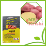 এলুয়েট আলু বীজ-Aluate Potato Seed