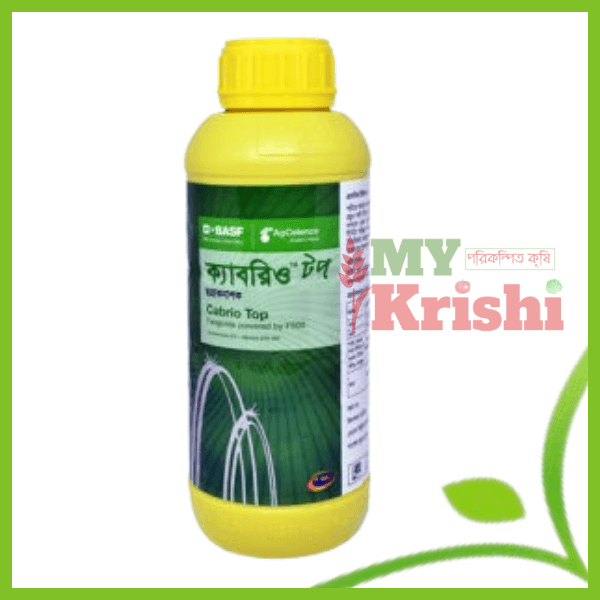 ক্যাবরিওটপ-Cabriotop ক্যাবরিওটপ-Cabriotop - Image 1