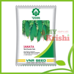 হাইব্রিড শসা  জনতা -Janata Cucumber(shosa)-১০ গ্রাম