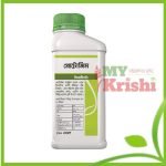 প্রোটোজিম-Protozim