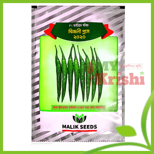 বিজলি প্লাস 2020 মরিচ -Bijli Plus 2020-১০ গ্রাম হাইব্রিড মরিচ বিজলি প্লাস 2020 -Bijlee Plus 2020 Chilli - Image 1