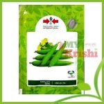 হাইব্রিড ধুন্দল নিলম -Neelam Sponge Gourd-১০ গ্রাম