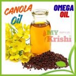 সরিষার তেল (ওমেগা-৩, ৬ ও ৯ বিদ্যমান এবং ক্যানোলা জাতীয়)-Mustard oil (contains omega-3, 6 and 9 and is similar to canola)- ৫লিটার
