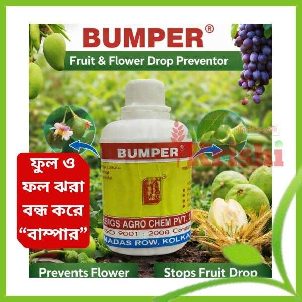 বাম্পার-Bumper বাম্পার-Bumper-৫০ মিলি - Image 1