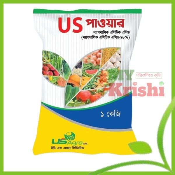 ইউএস পাওয়ার-Us Power ইউএস পাওয়ার-Us Power- ১ কেজি - Image 1