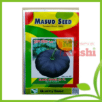 মিষ্টি কুমড়া ব্লাক স্টোন ১৬- Black Stone 16-১০ গ্রাম