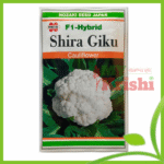হাইব্রিড ফুলকপি সিরাজিকু-Shira-Giku-১০ গ্রাম