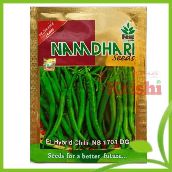 হাইব্রিড মরিচ ১৭০১ ডিজি -1701 DG- ১০ গ্রাম